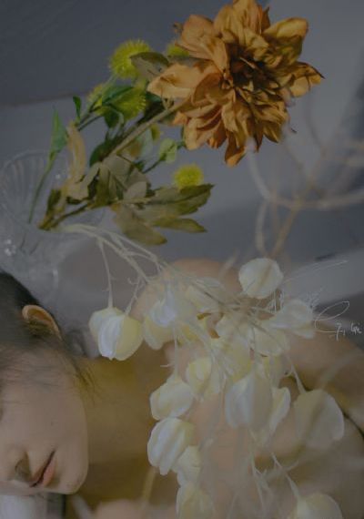 漂亮的女邻居 电影_4K手机在线看